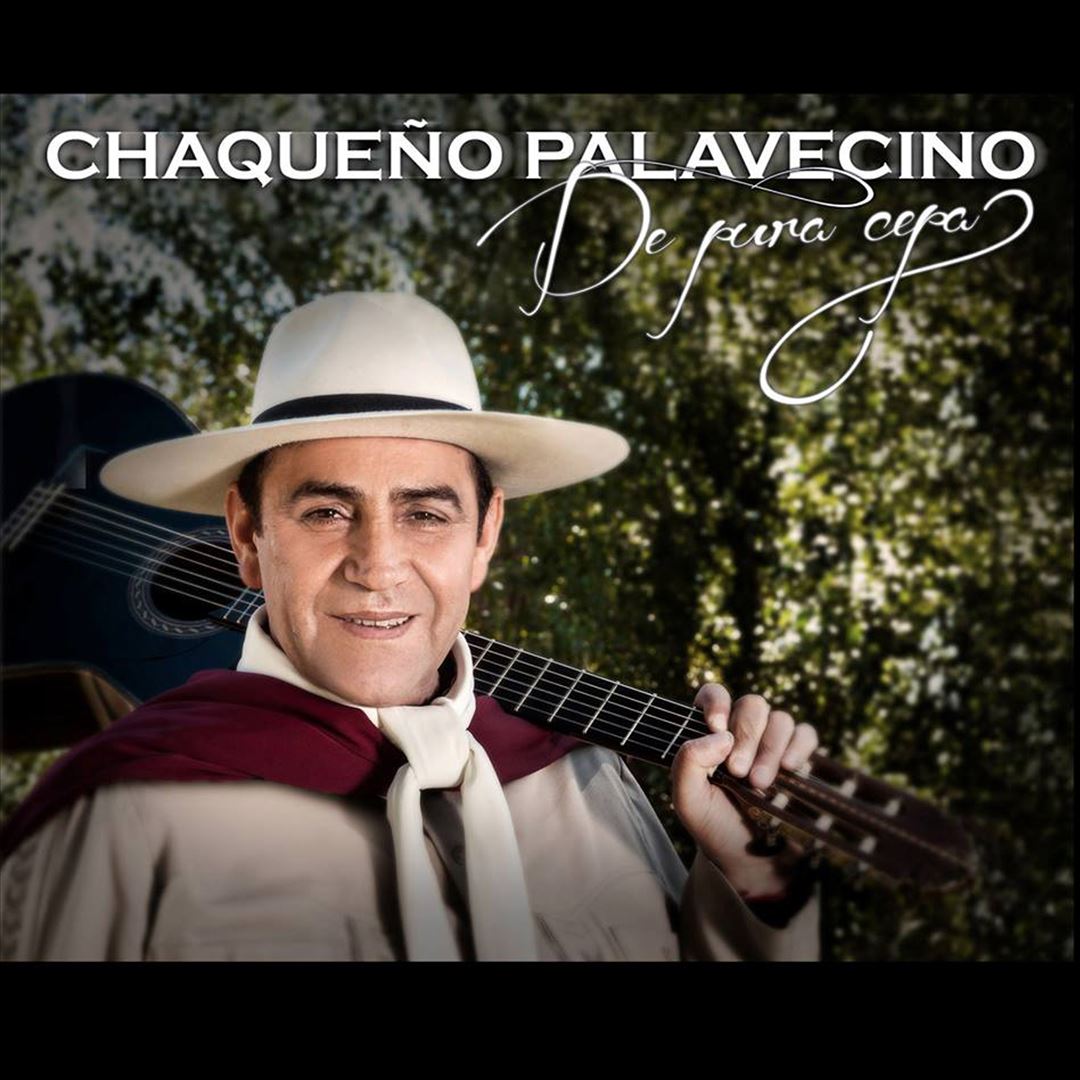 DEPURACEPA cover art