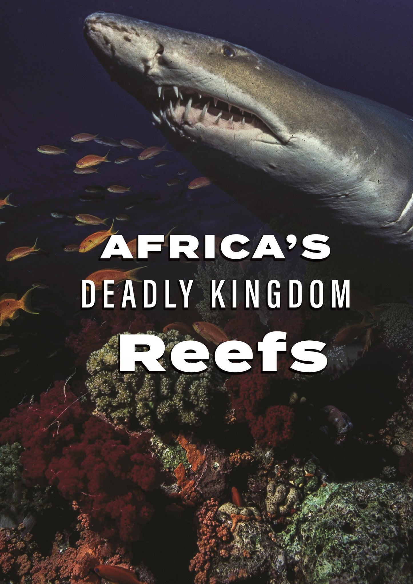 Africa's Deadly Kingdom: Reefs cover art
