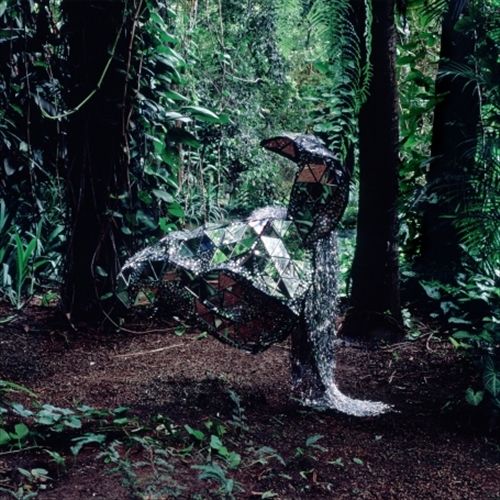 Donkey cover art
