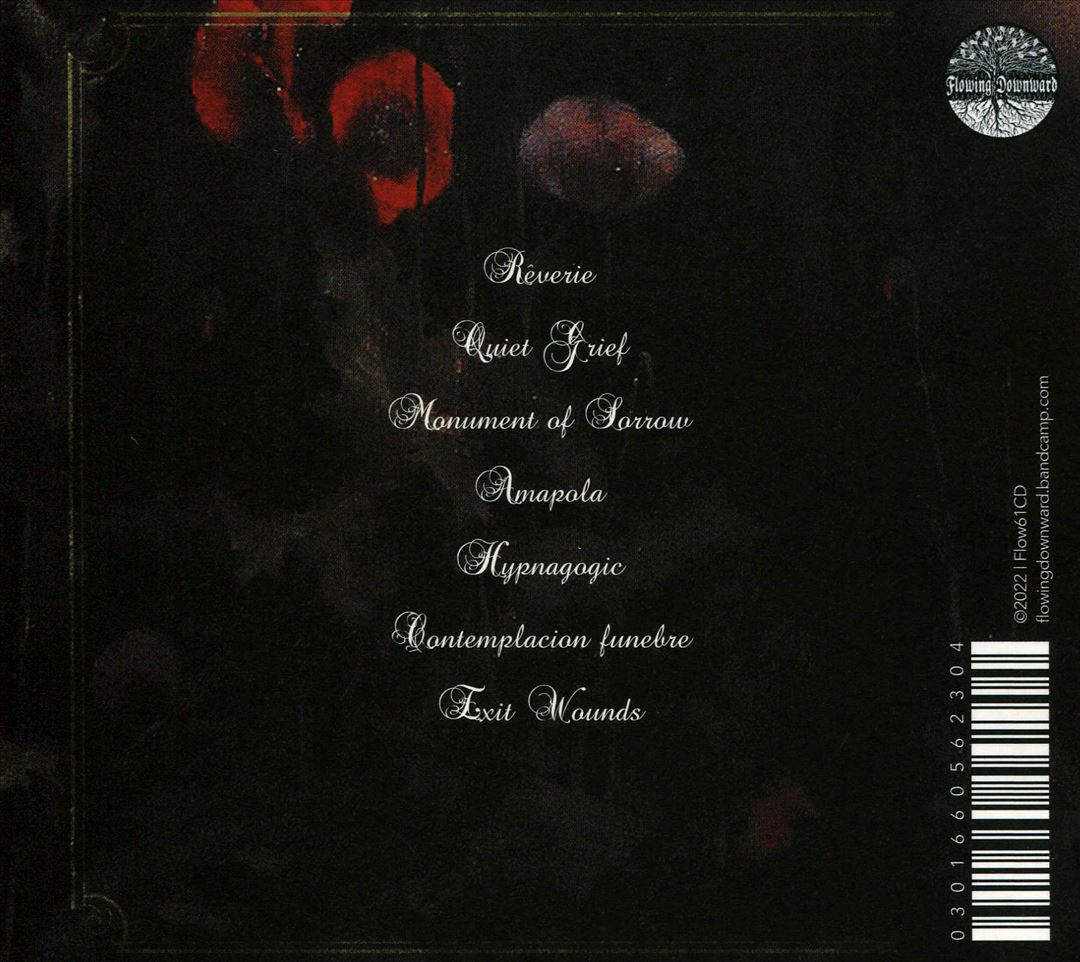 Wounds cover art