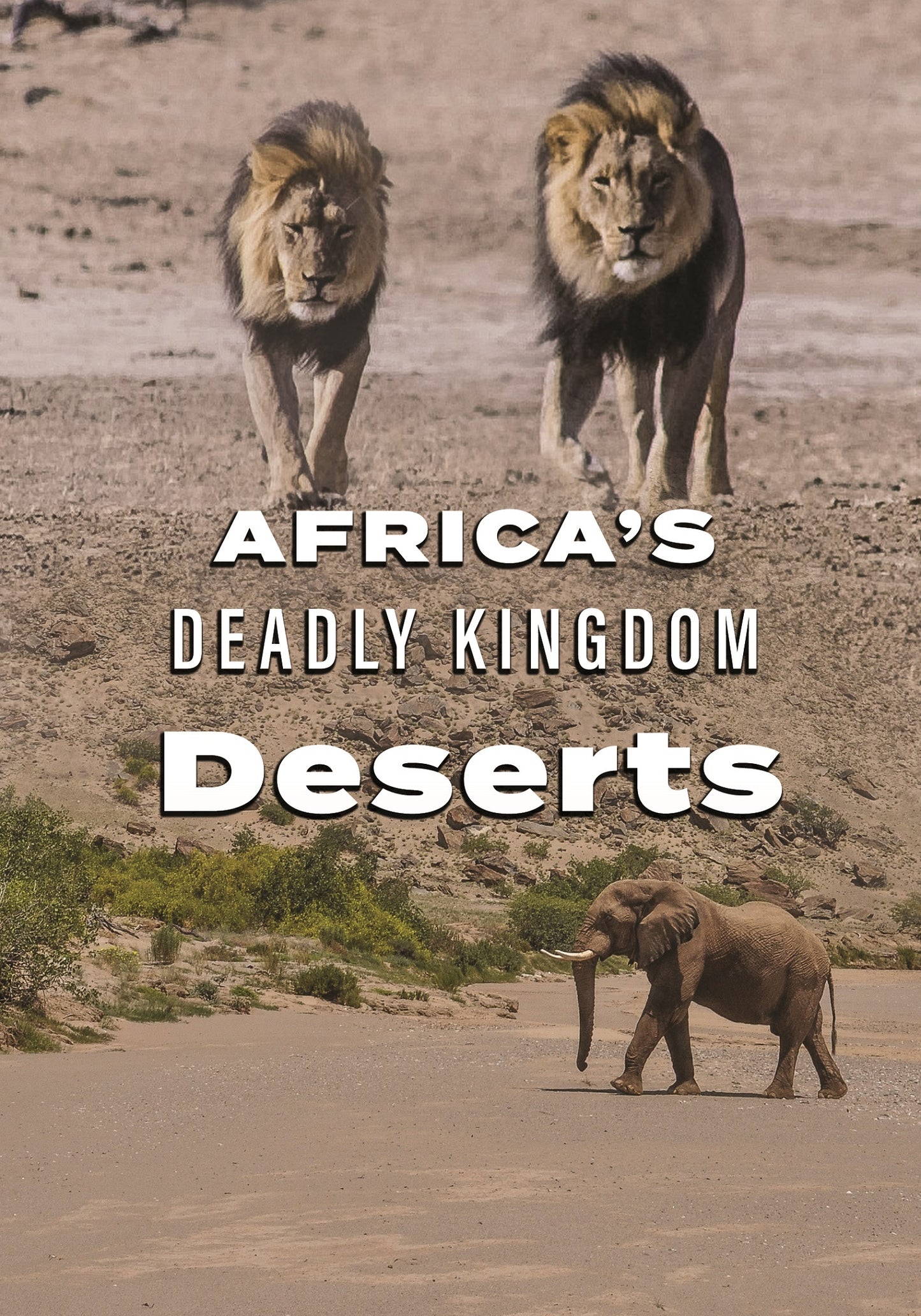 Africa's Deadly Kingdom: Deserts cover art