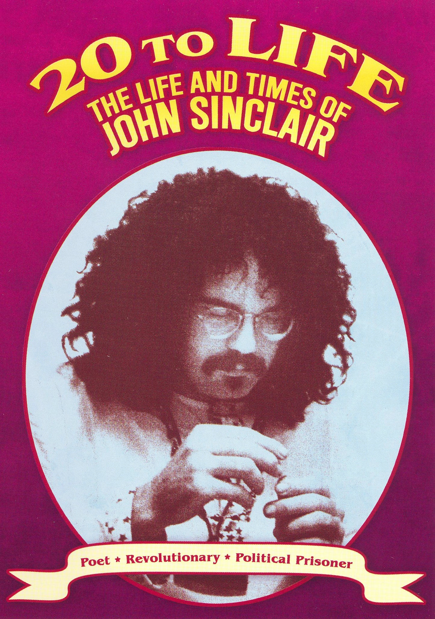20 to Life: Life and Times of John Sinclair cover art