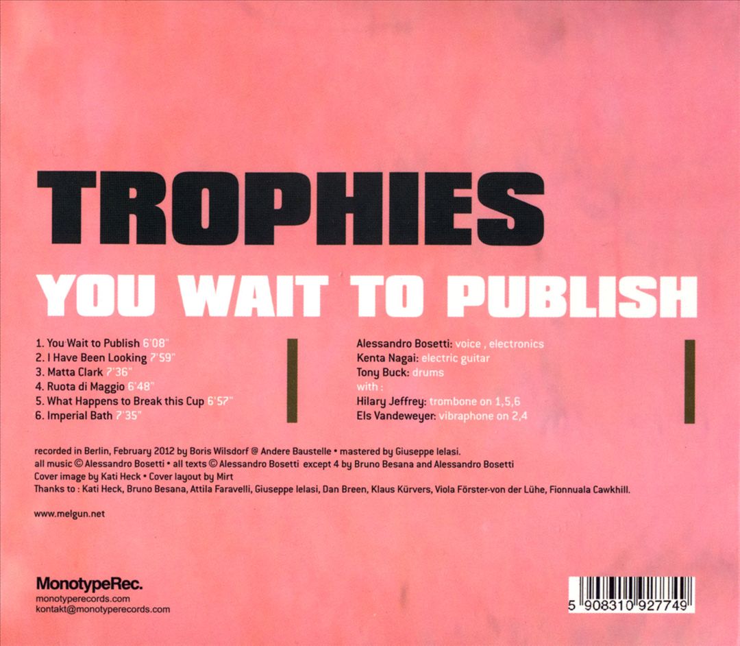 You Wait To Publish cover art