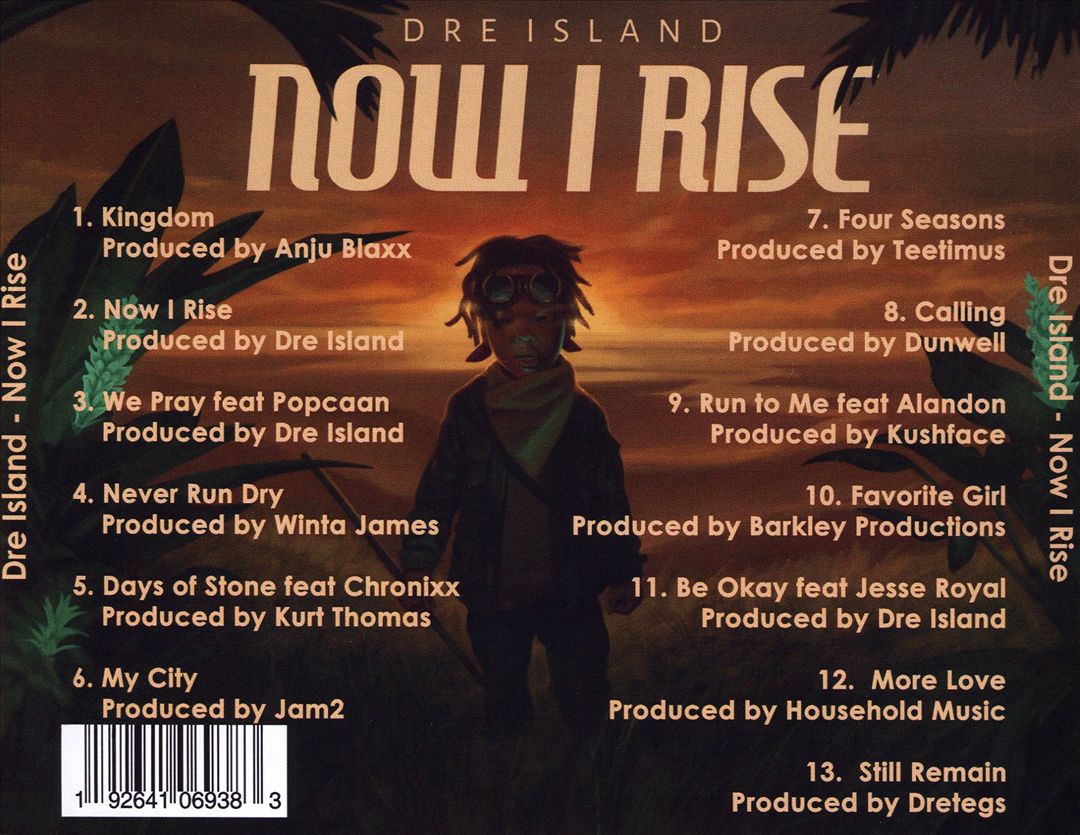 Now I Rise cover art