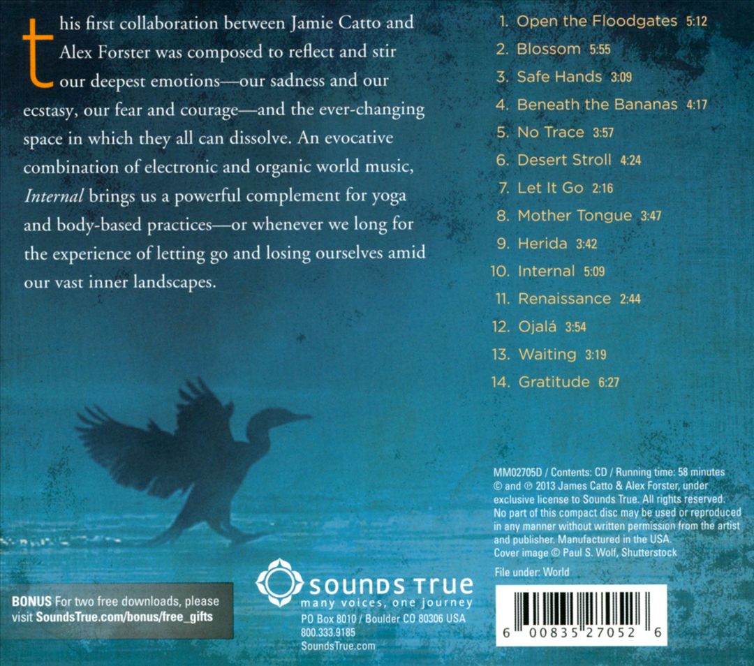 Internal: Music For Dissolving cover art