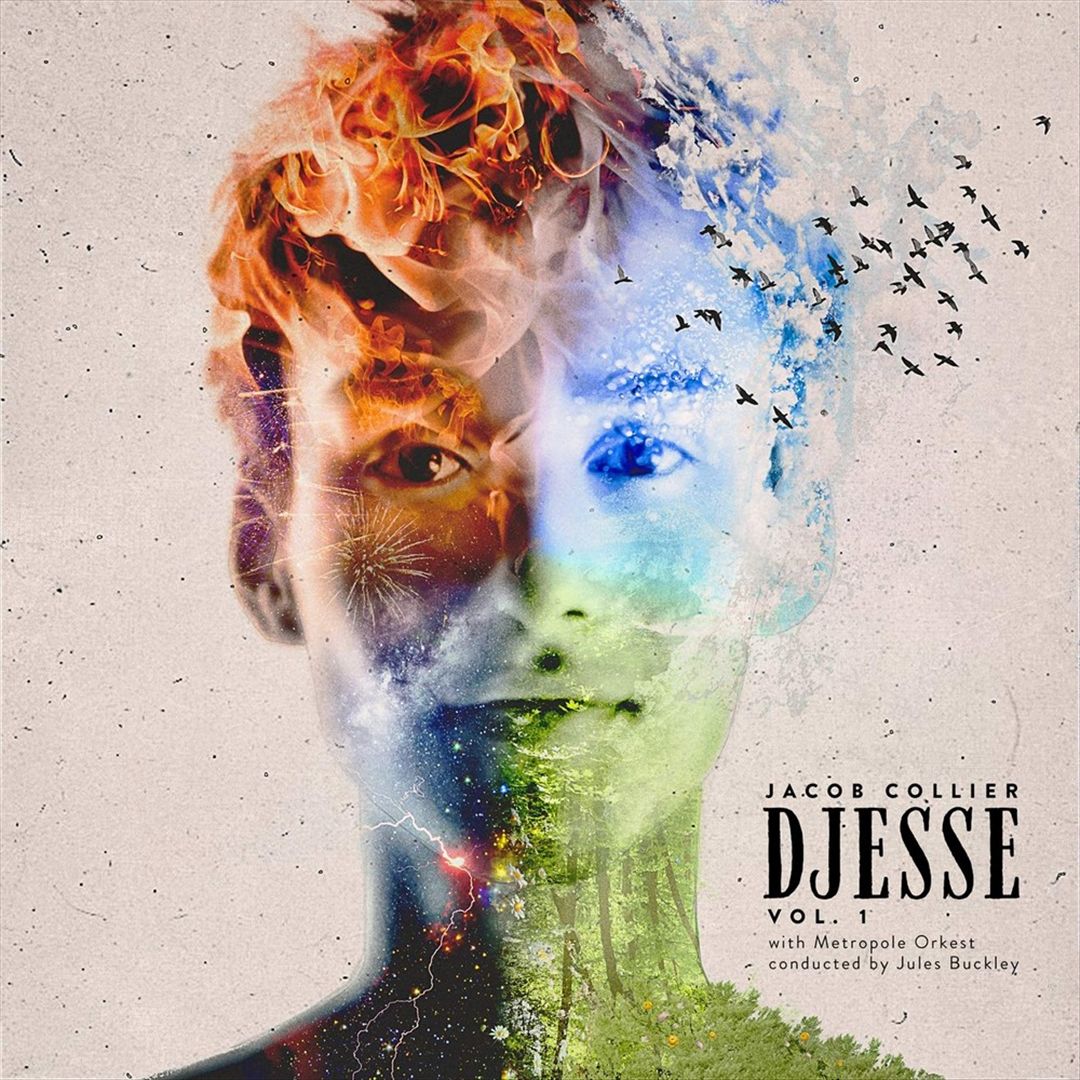 Djesse, Vol. 1 cover art