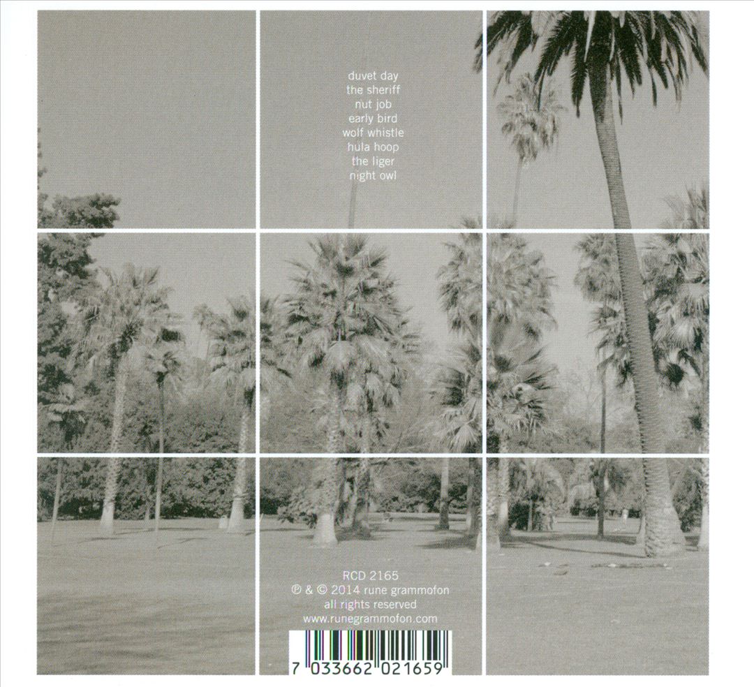 Night Owl cover art