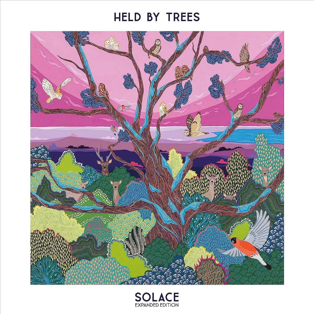 Solace cover art