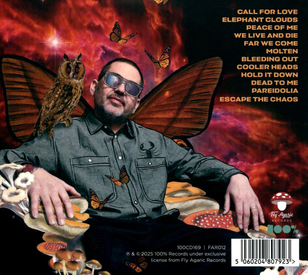 Escape the Chaos cover art