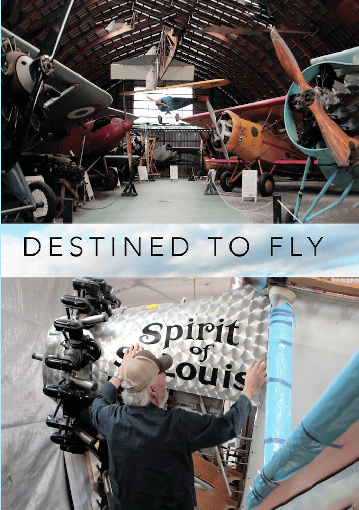 Destined To Fly cover art