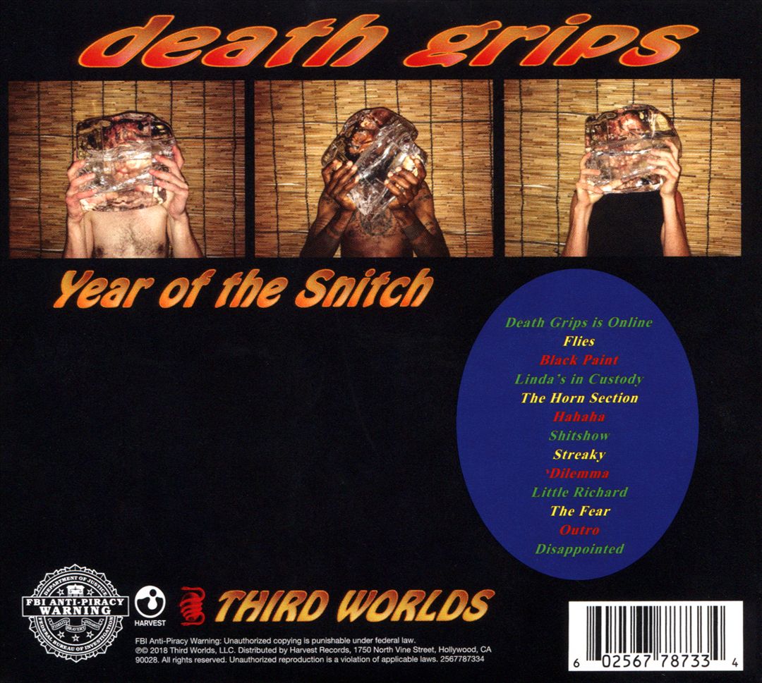 Year of the Snitch cover art