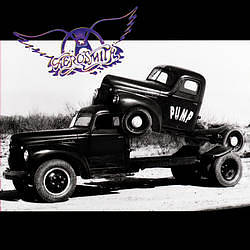 Pump cover art