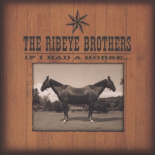 If I Had a Horse... cover art
