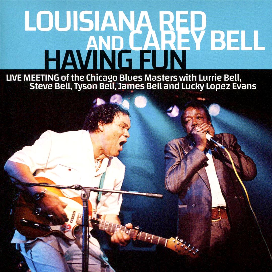 Having Fun: Live Meeting of the Chicago Blues cover art