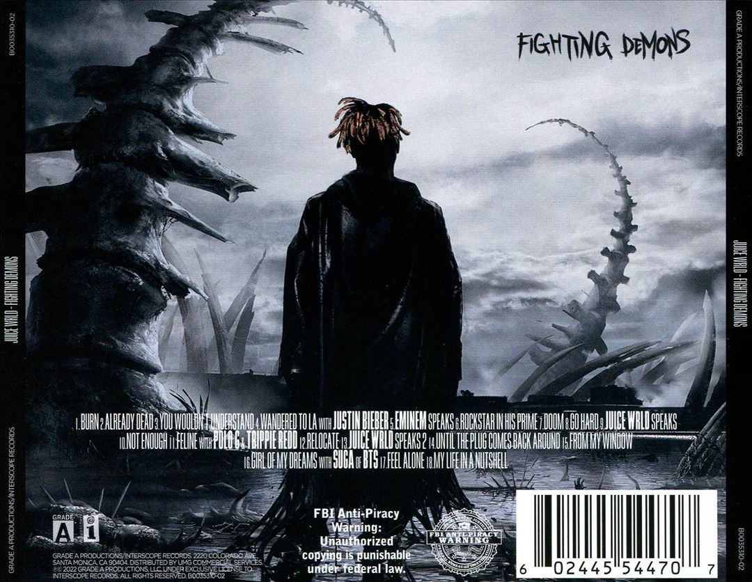 Fighting Demons cover art