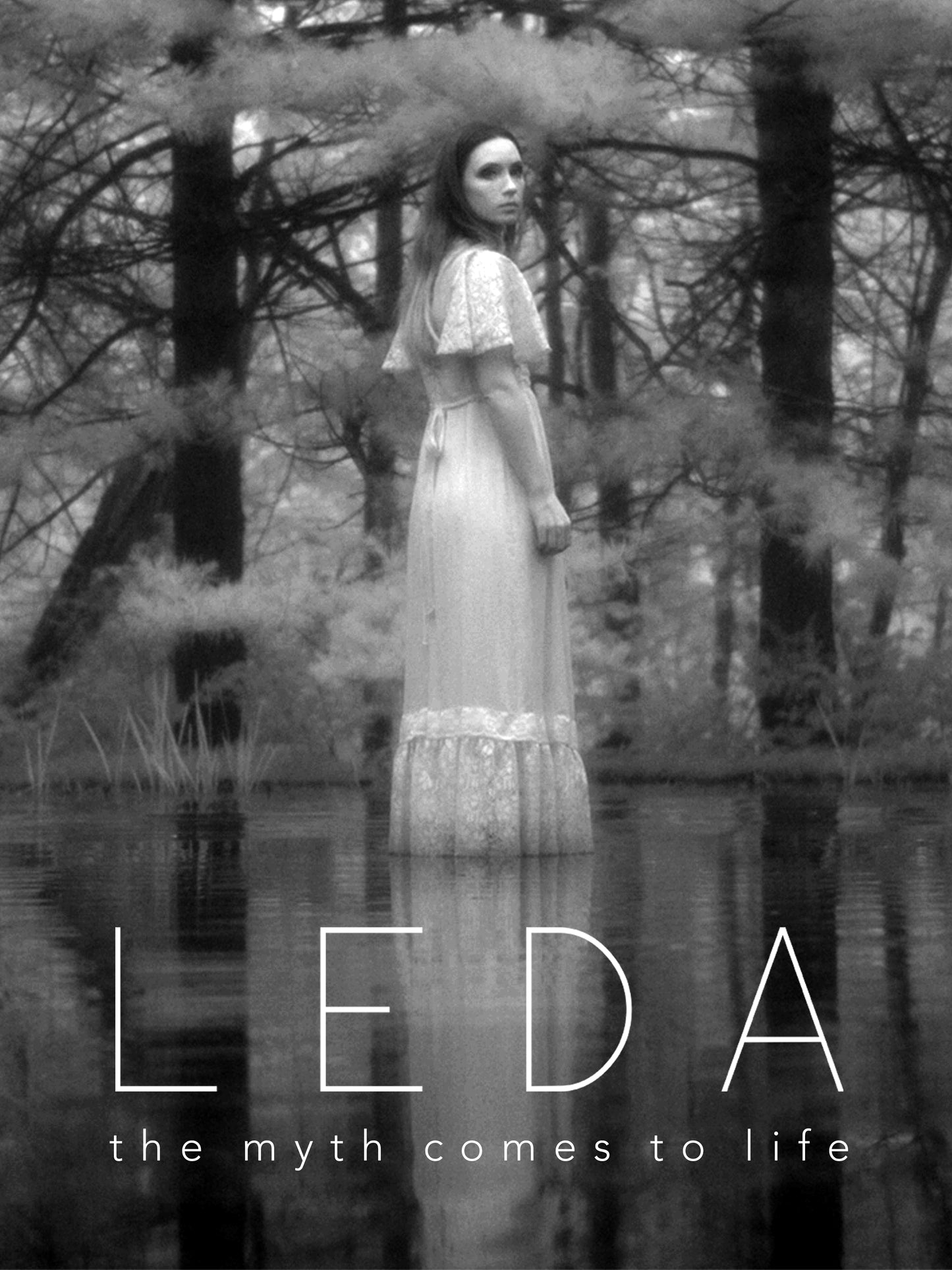 LEDA cover art