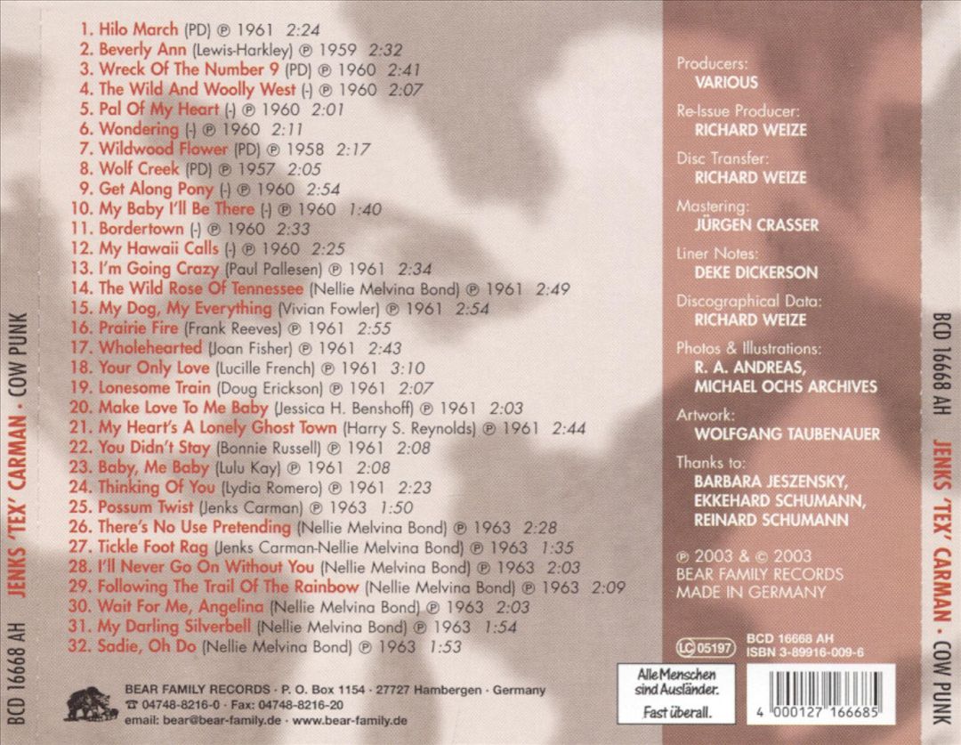 Cow Punk cover art