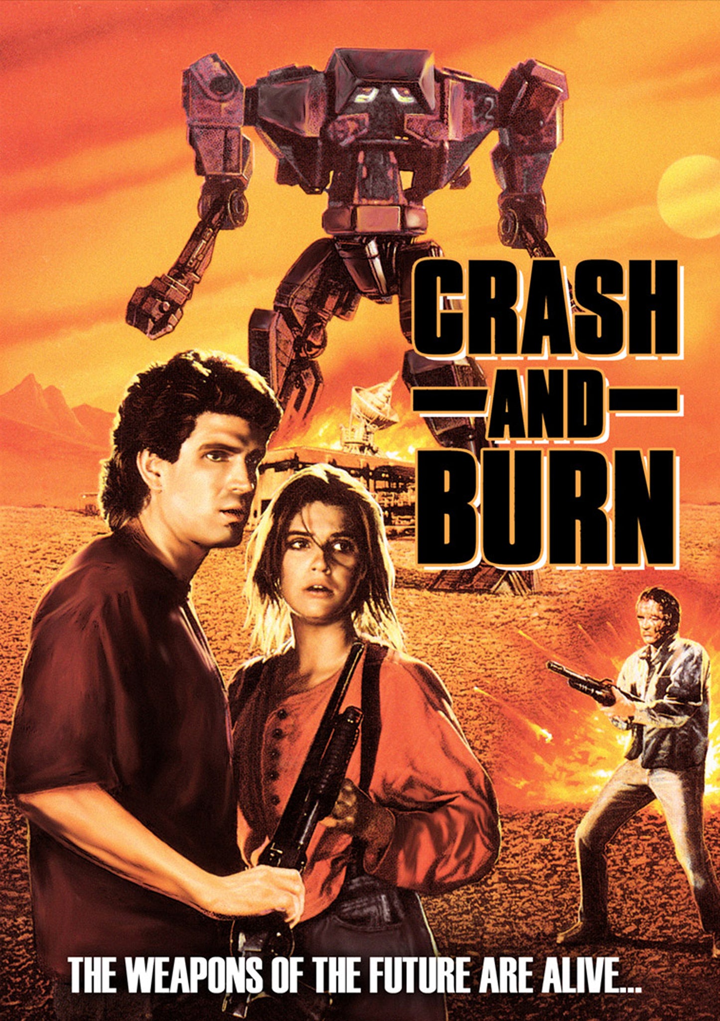 Crash and Burn cover art
