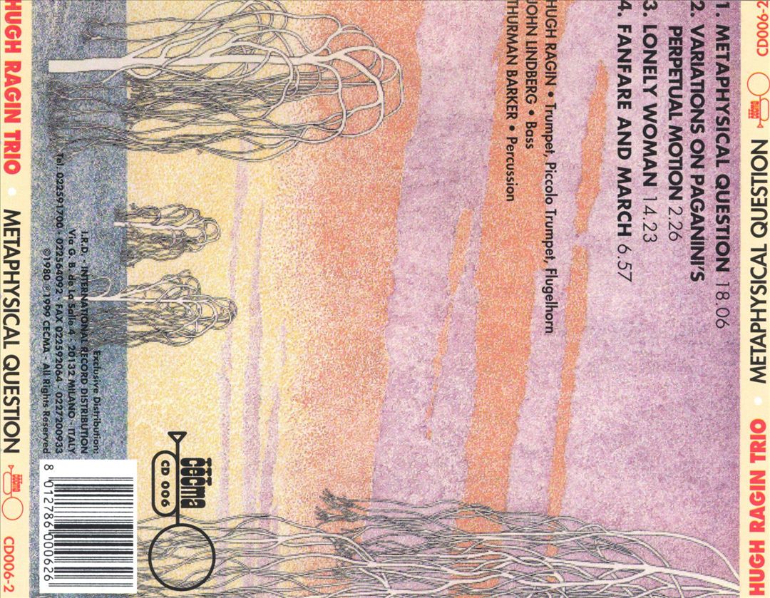 Metaphysical Question cover art