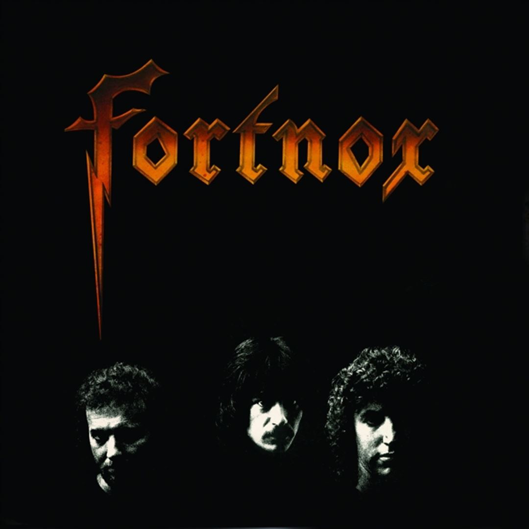 Fortnox cover art