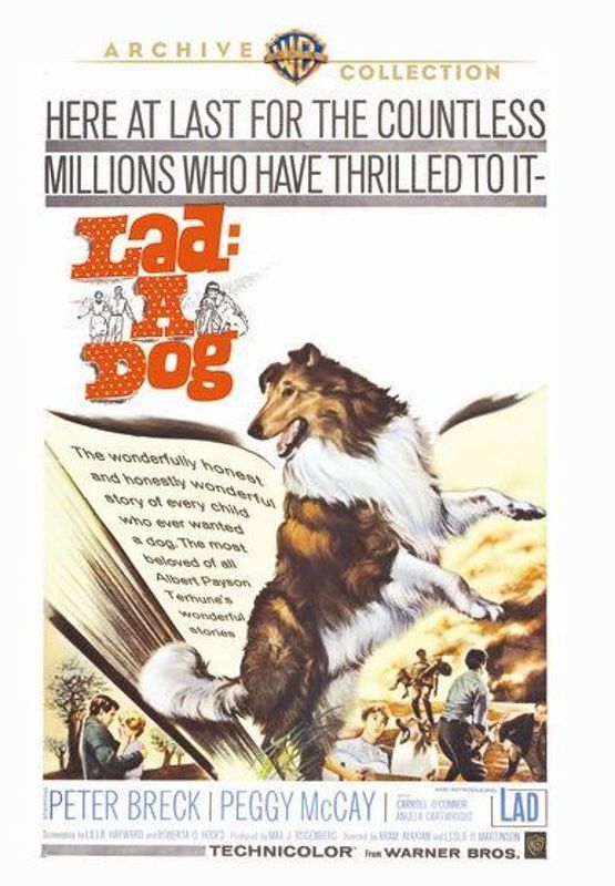 Lad: A Dog cover art