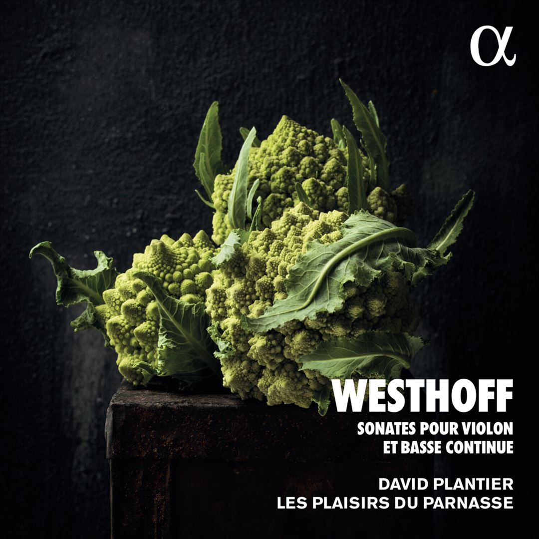 Westhoff: Sonates pour violon & basse continue cover art