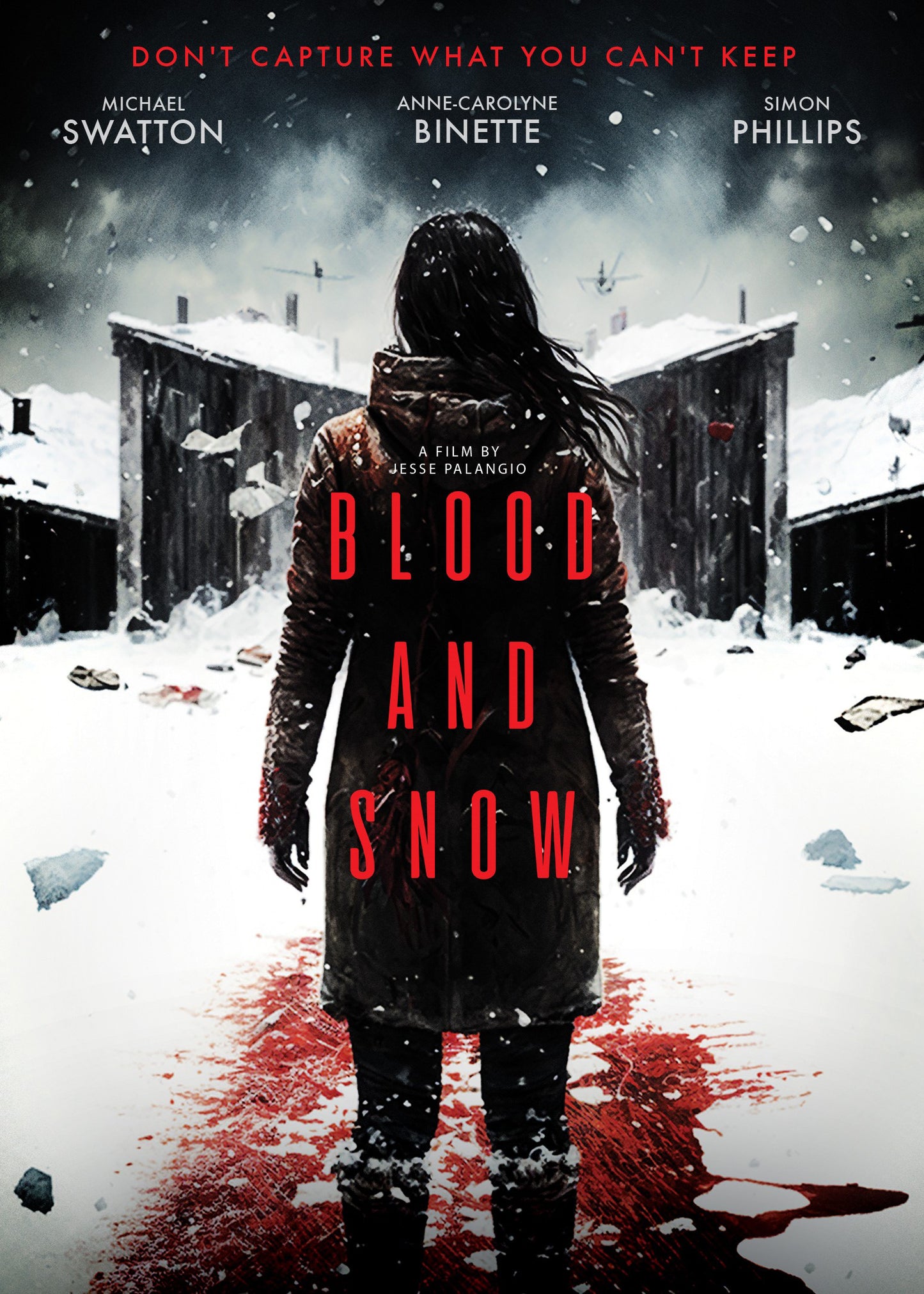 Blood and Snow cover art