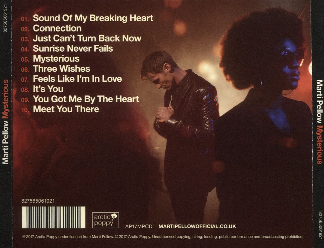 Mysterious cover art