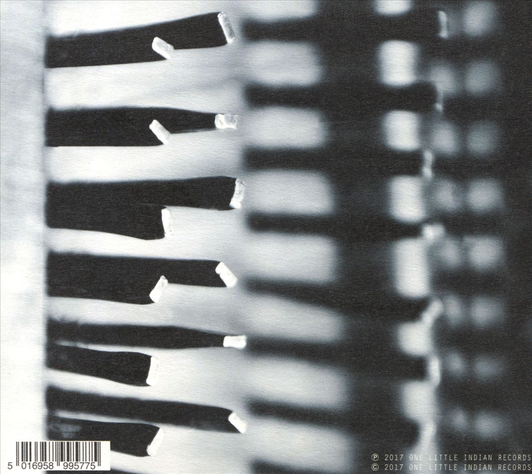 Feathers cover art