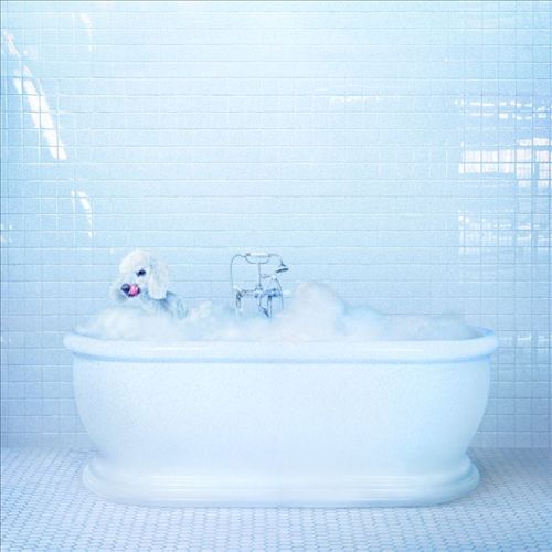 Vessel cover art