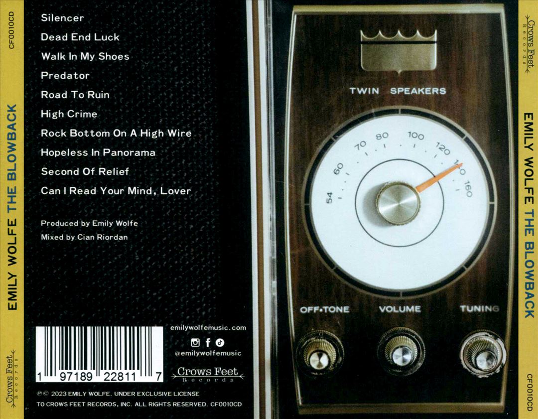 Blowback cover art