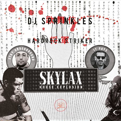Skylax House Explosion cover art