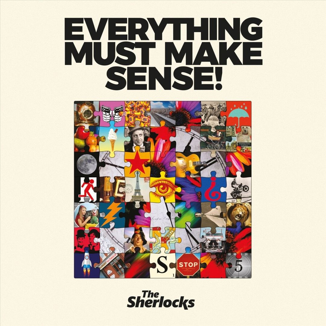 Everything Must Make Sense cover art