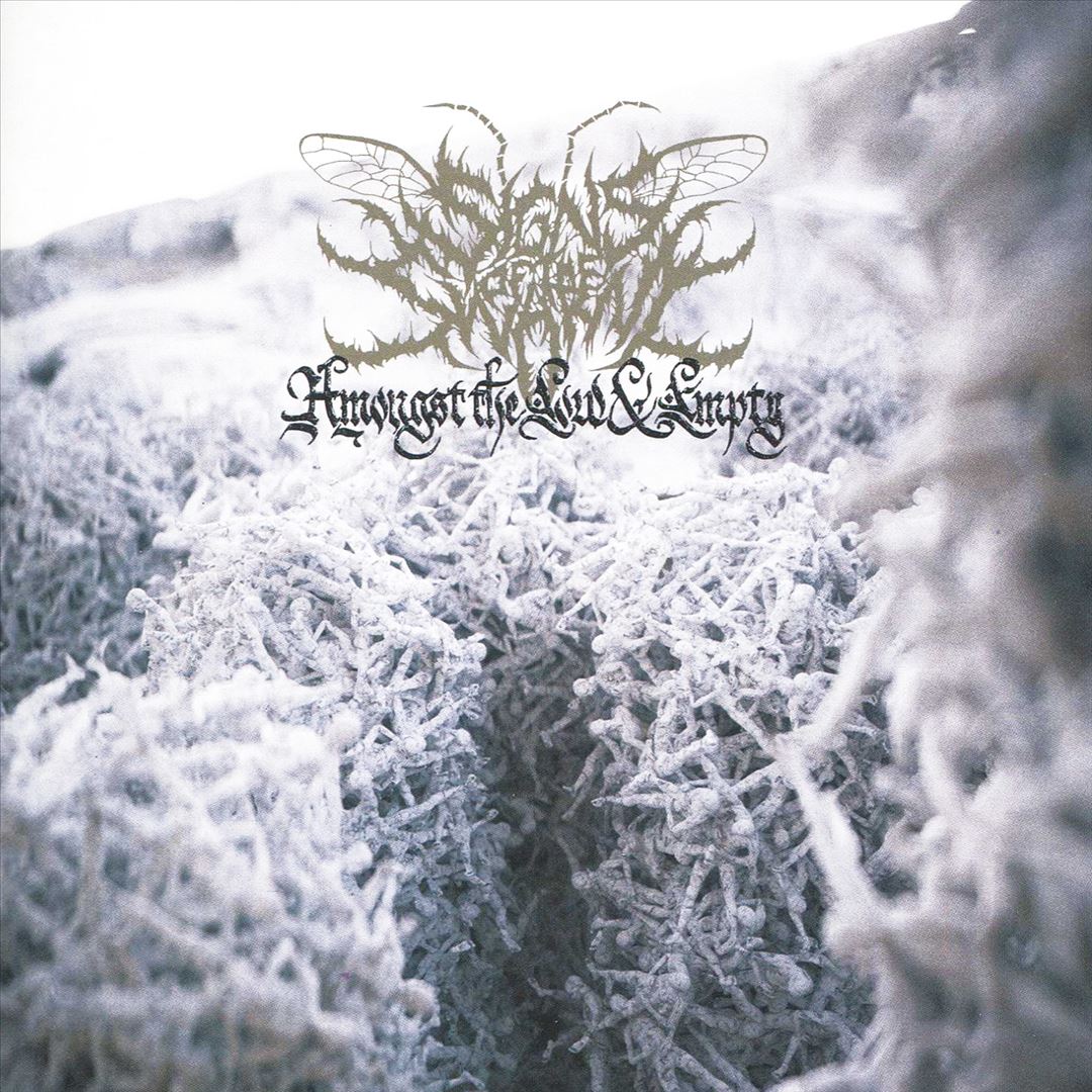 Amongst the Low & Empty cover art