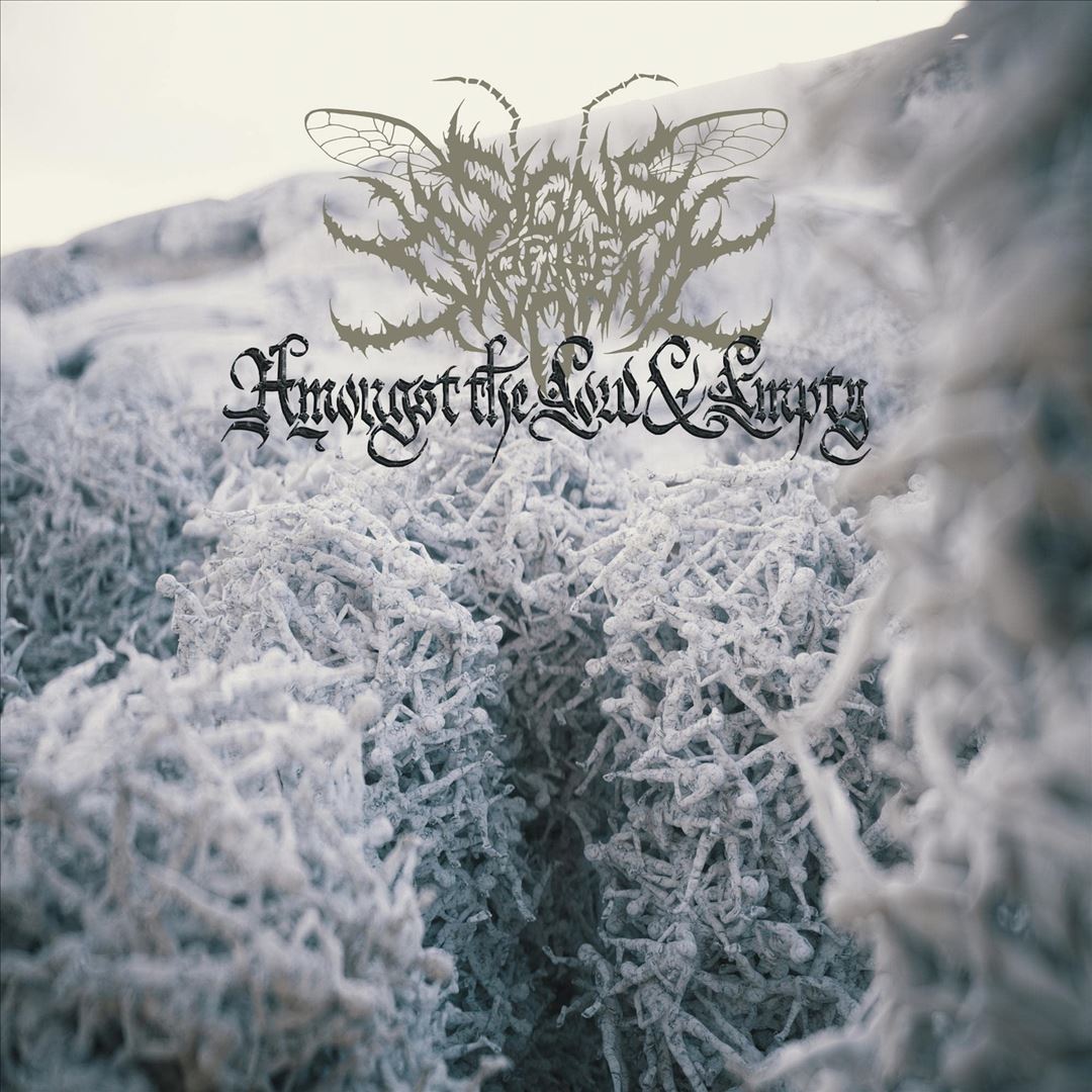 Amongst the Low & Empty cover art