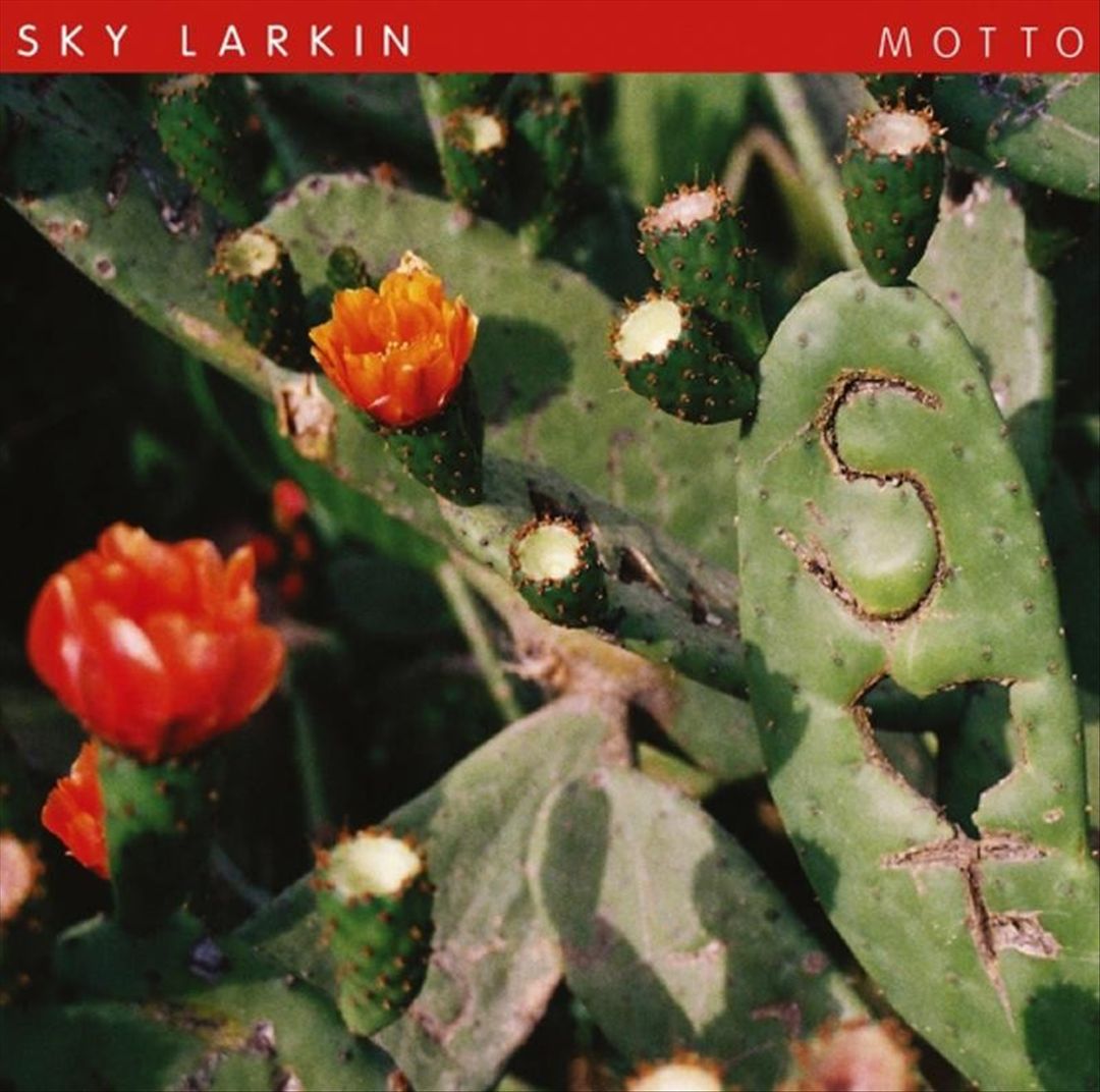 Motto cover art
