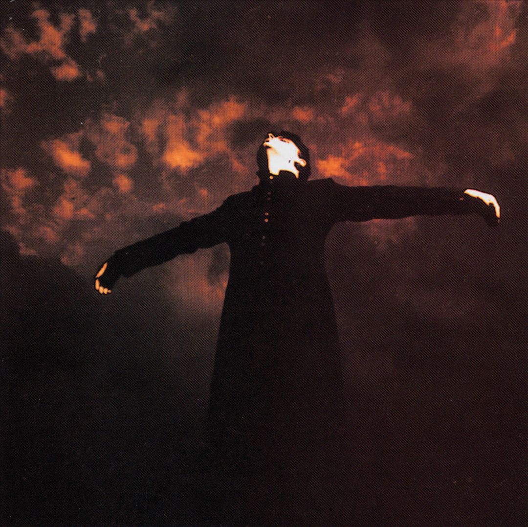 Pure cover art