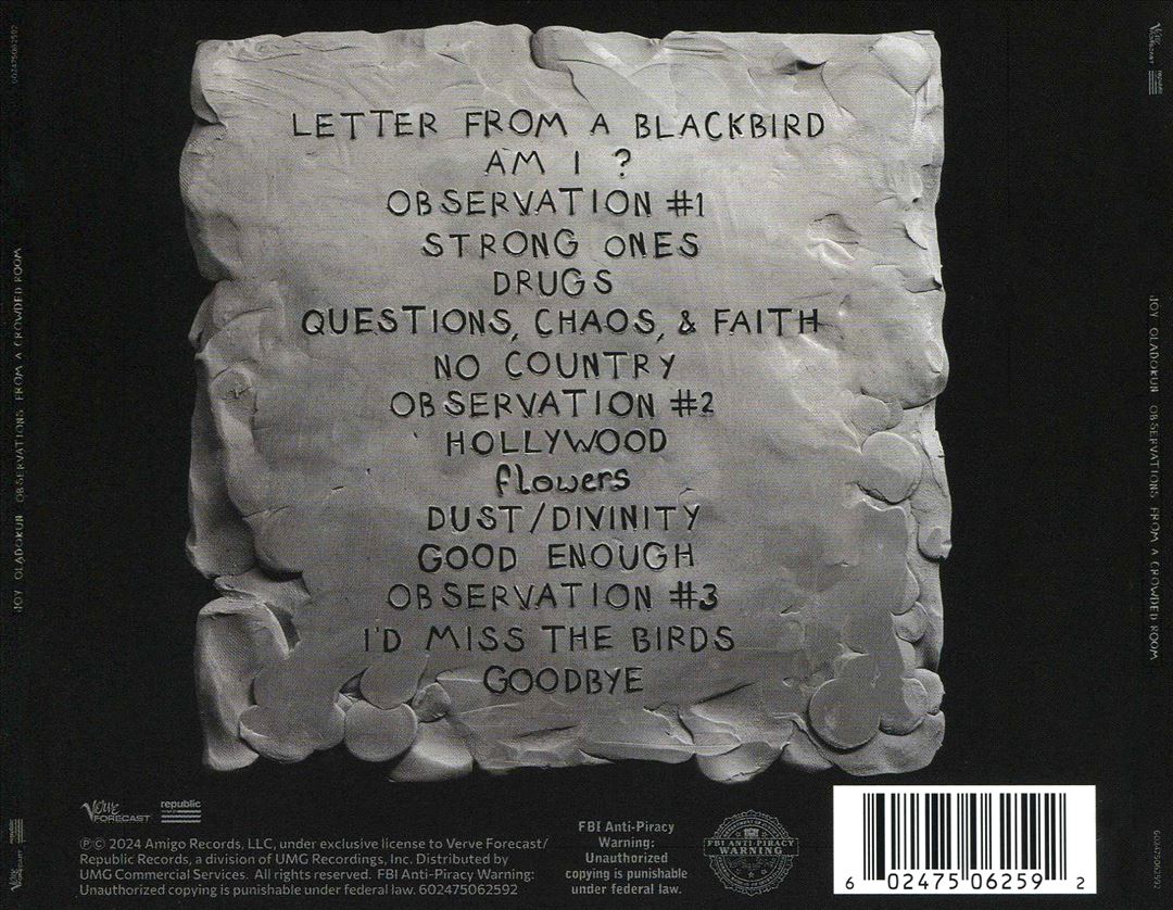 OBSERVATIONS FROM A CROWDED ROOM cover art