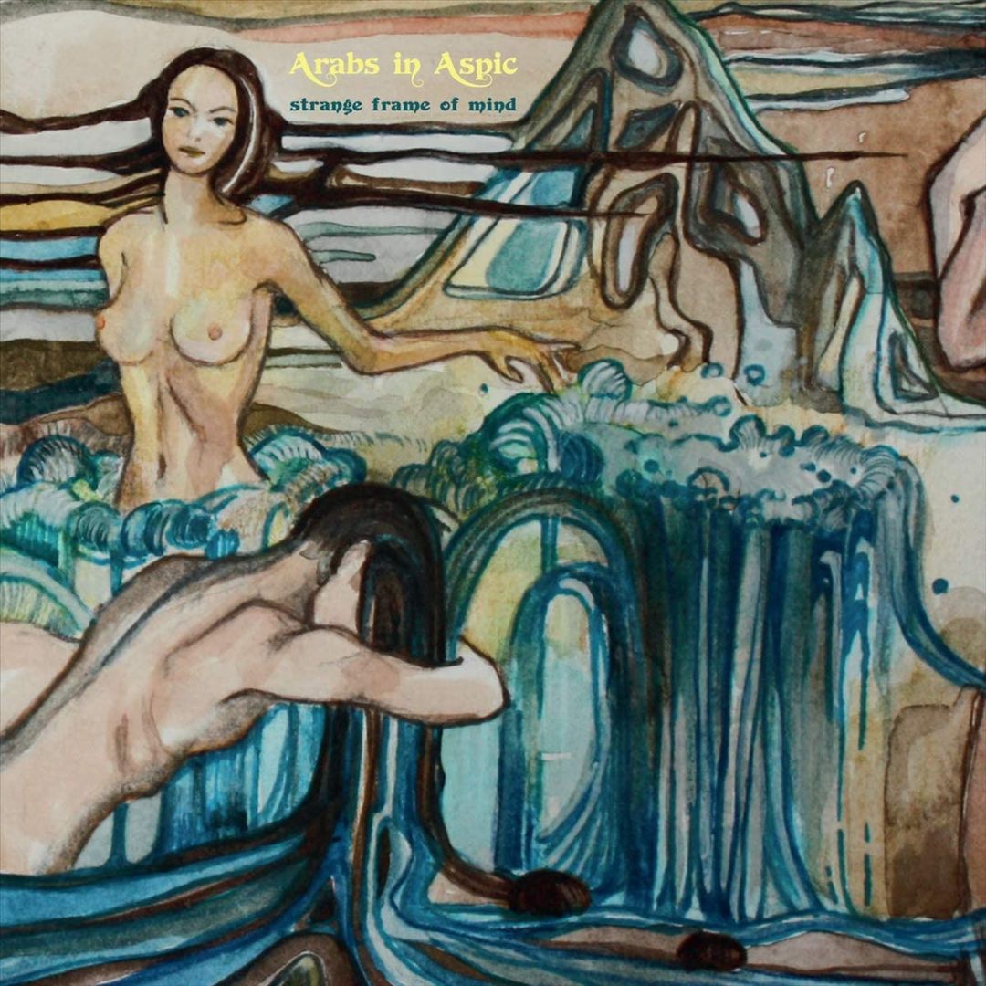 Strange Frame of Mind cover art
