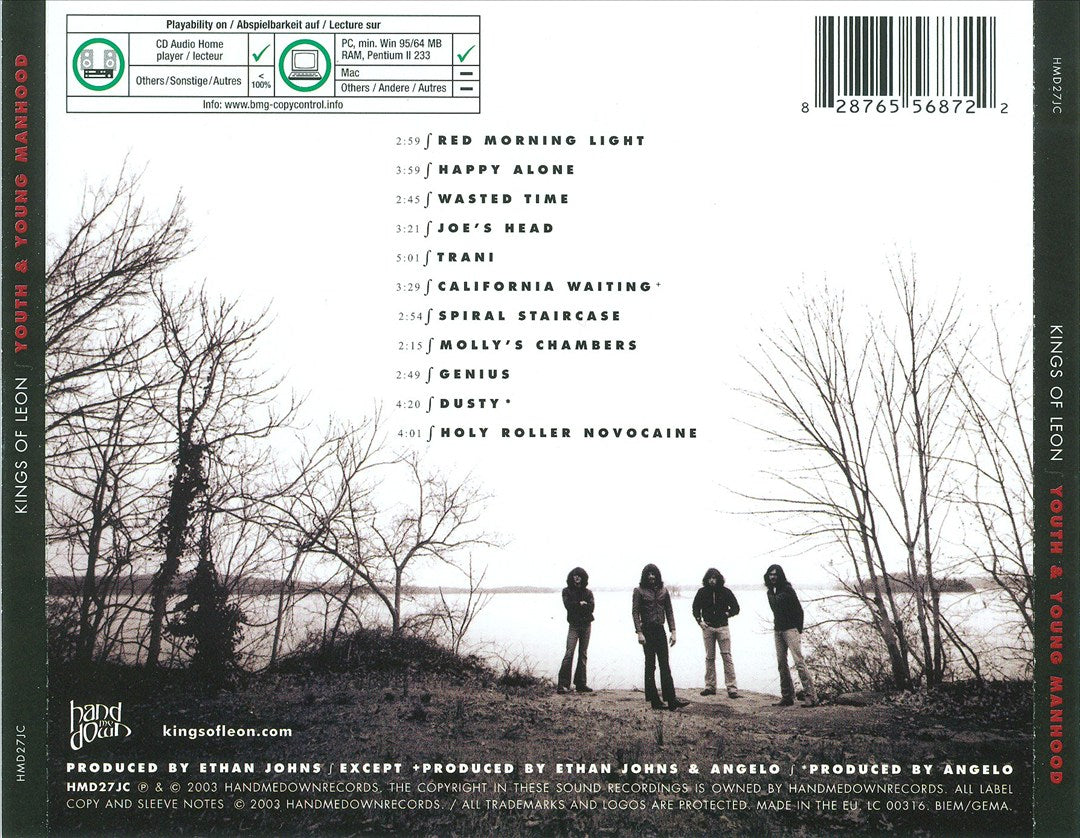 Youth & Young Manhood cover art