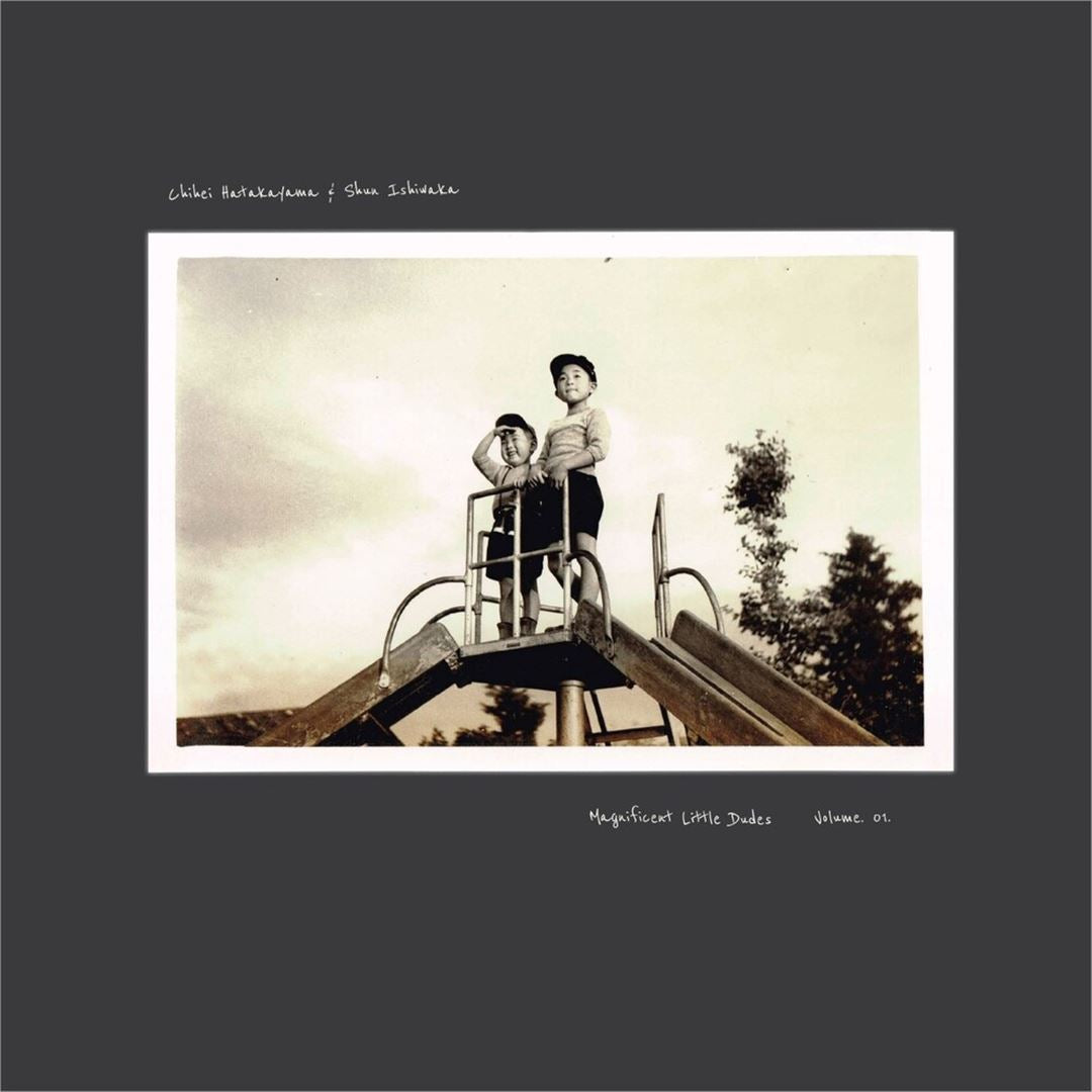 Magnificent Little Dudes, Vol. 1 cover art