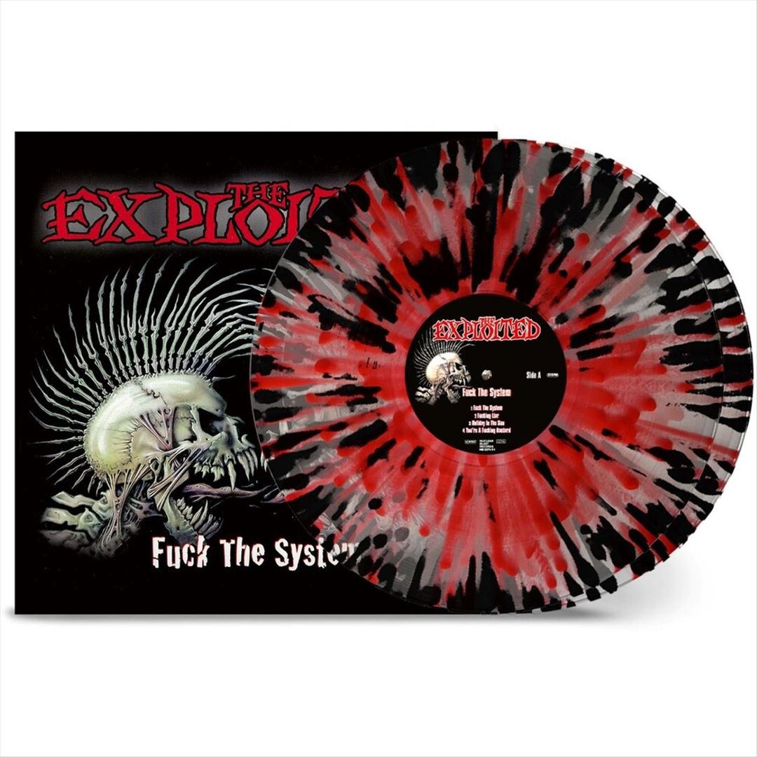 Fuck the System cover art