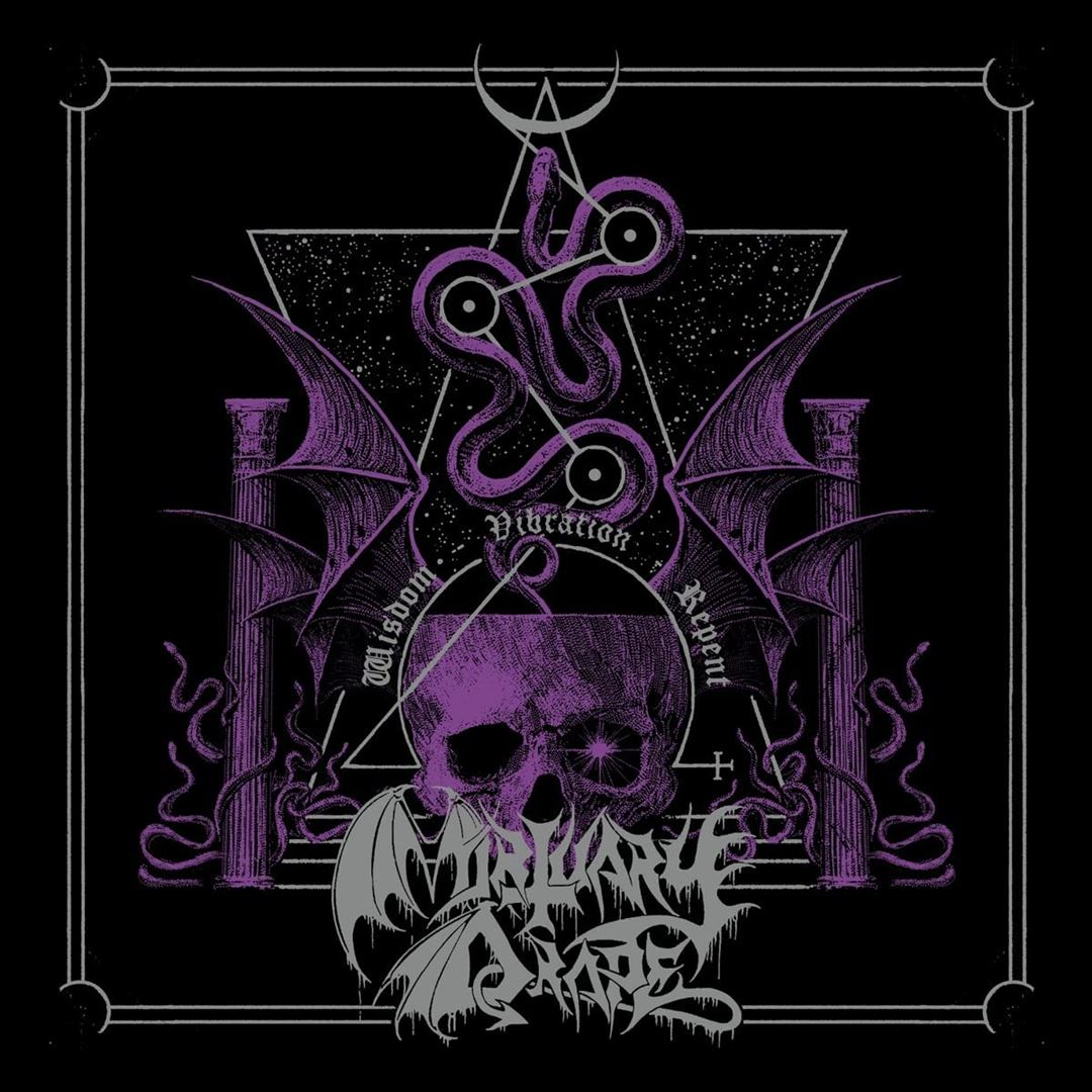 Wisdom-Vibration-Repent cover art