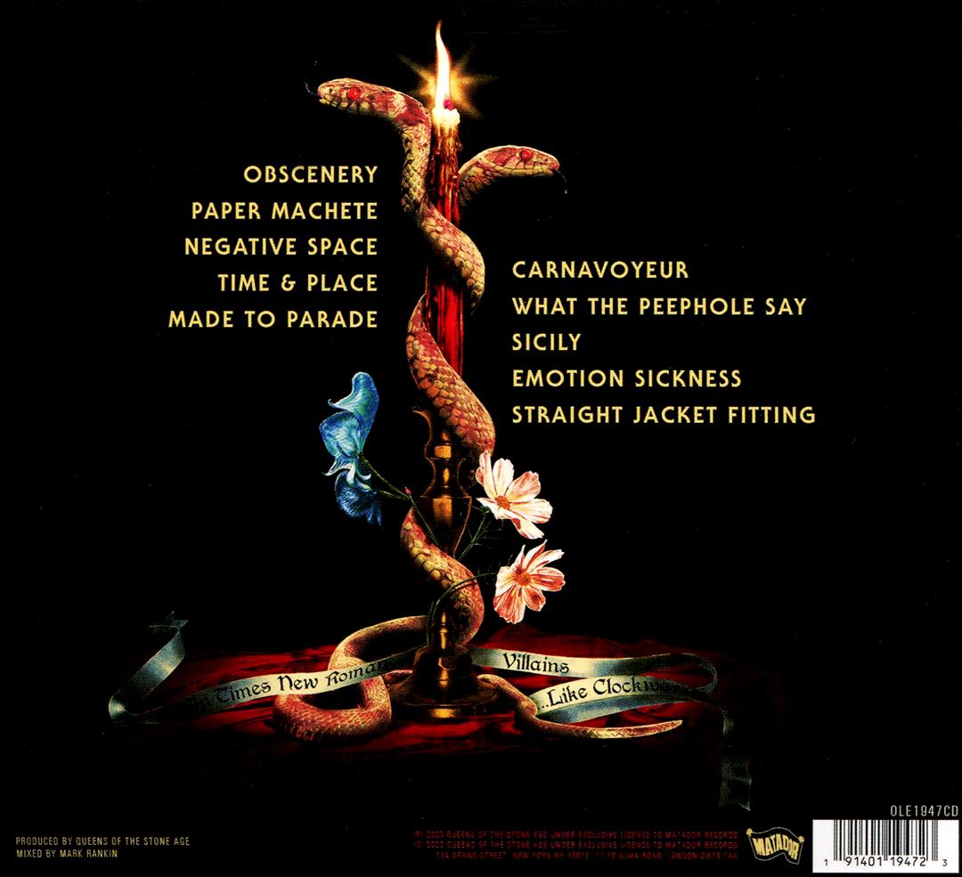 In Times New Roman... cover art