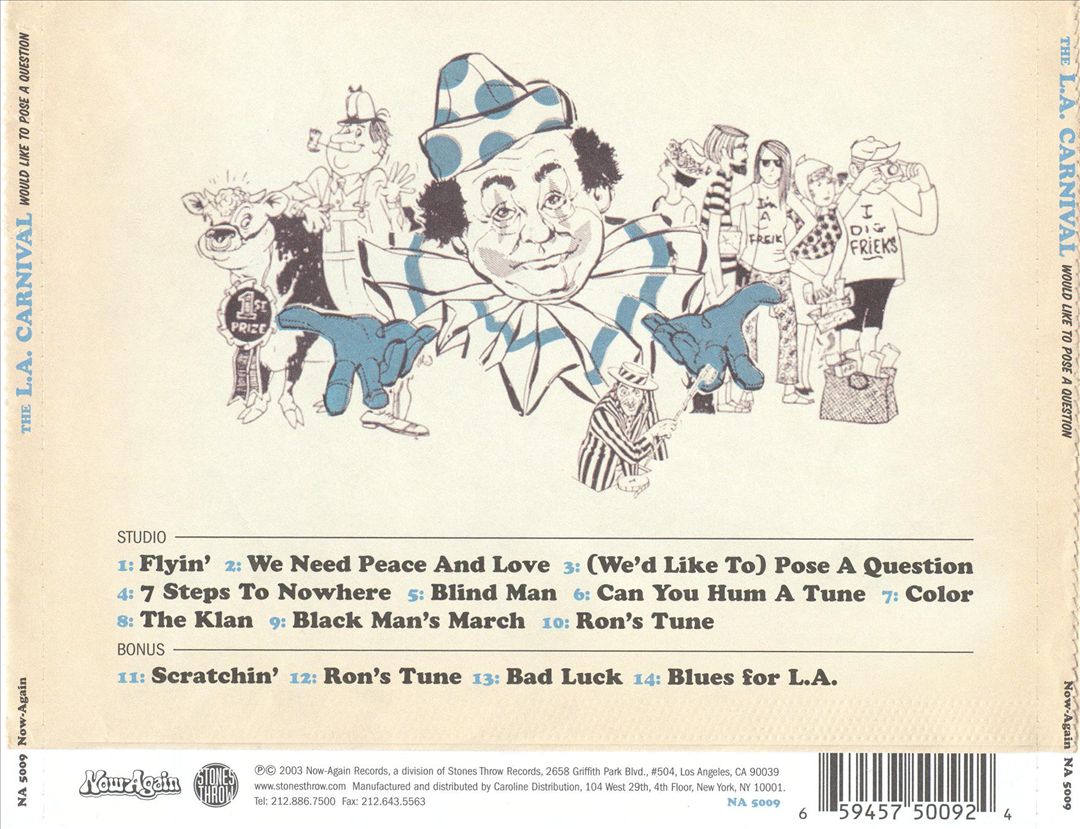 Would Like To Pose A Question cover art