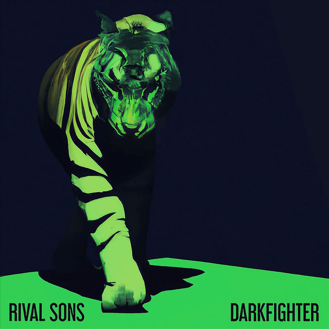 Darkfighter cover art