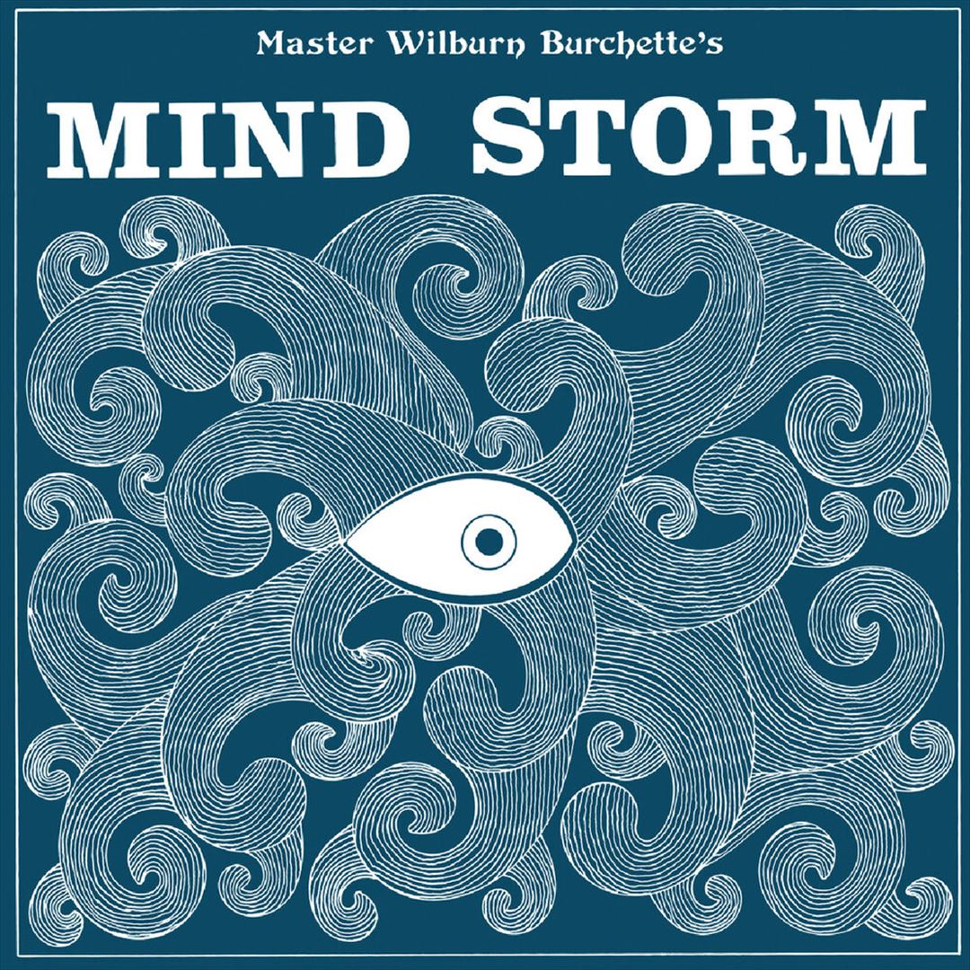 Mind Storm cover art