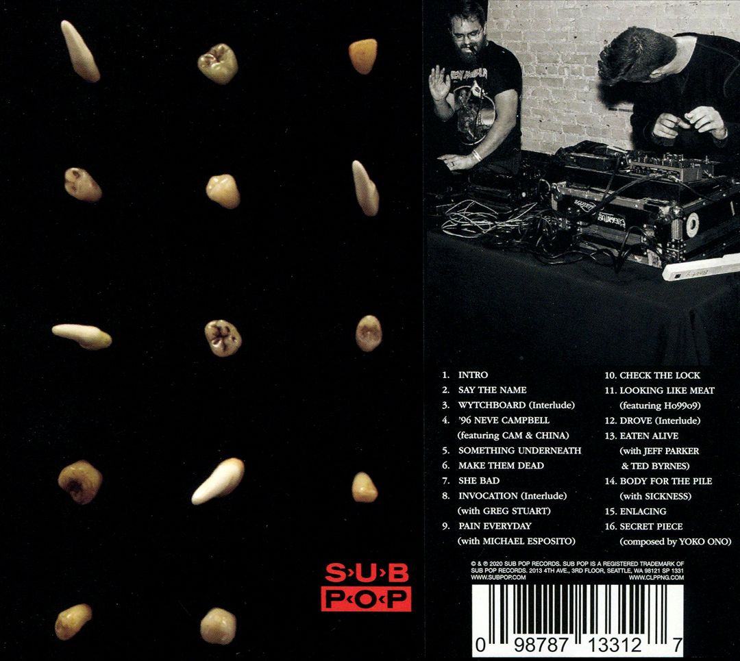 Visions of Bodies Being Burned cover art