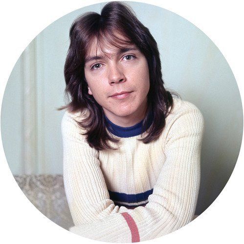 I Think I Love You: Greatest Hits Live cover art