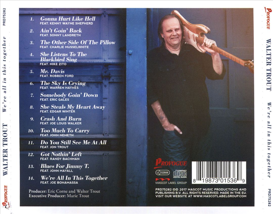 We're All in This Together cover art